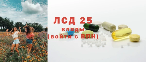 apvp Гусь-Хрустальный