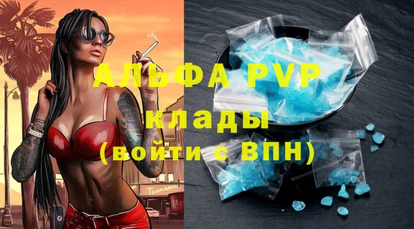 ГАЛЛЮЦИНОГЕННЫЕ ГРИБЫ Гусев