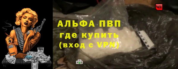 ГАЛЛЮЦИНОГЕННЫЕ ГРИБЫ Гусев