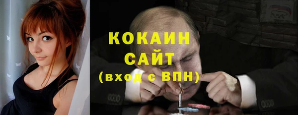 ГАЛЛЮЦИНОГЕННЫЕ ГРИБЫ Гусев