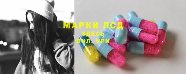 ГАЛЛЮЦИНОГЕННЫЕ ГРИБЫ Гусев