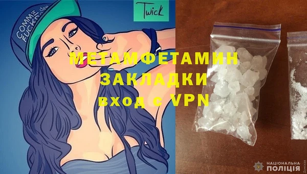 ГАЛЛЮЦИНОГЕННЫЕ ГРИБЫ Гусев
