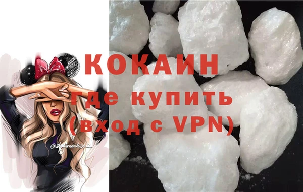 ГАЛЛЮЦИНОГЕННЫЕ ГРИБЫ Гусев