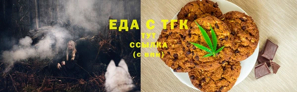 ГАЛЛЮЦИНОГЕННЫЕ ГРИБЫ Гусев