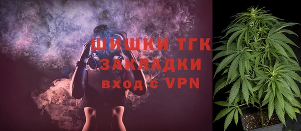 ГАЛЛЮЦИНОГЕННЫЕ ГРИБЫ Гусев