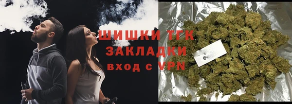 ГАЛЛЮЦИНОГЕННЫЕ ГРИБЫ Гусев