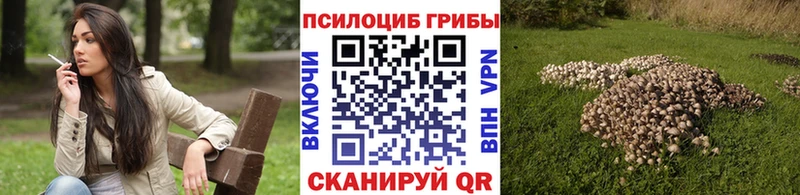 МЕГА сайт Завитинск Галлюциногенные грибы мухоморы как найти наркотики